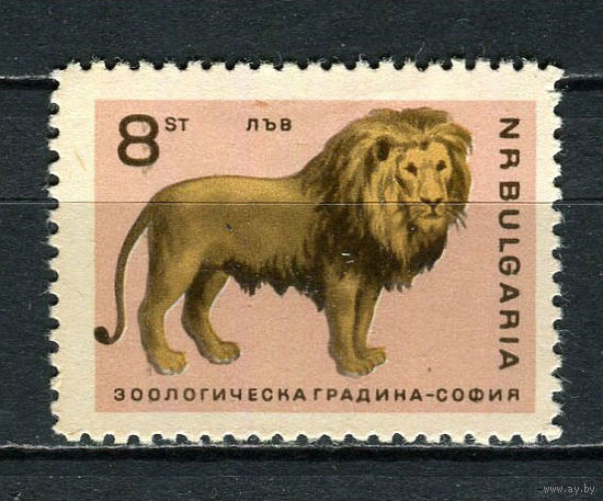 Болгария - 1966 - Лев 8St - [Mi.1623] - 1 марка. MH.  (Лот 11Fu)-T25P6