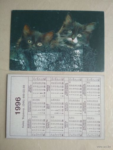 Карманный календарик. Кошки . 1996 год