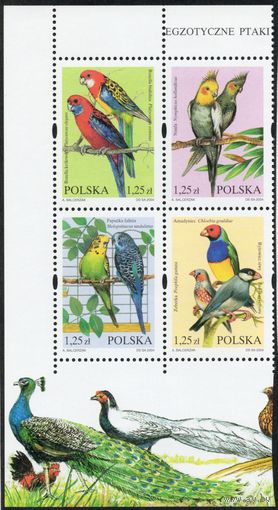 Польша 2004. Птицы. Попугаи. 4 марки Mi 4117-20