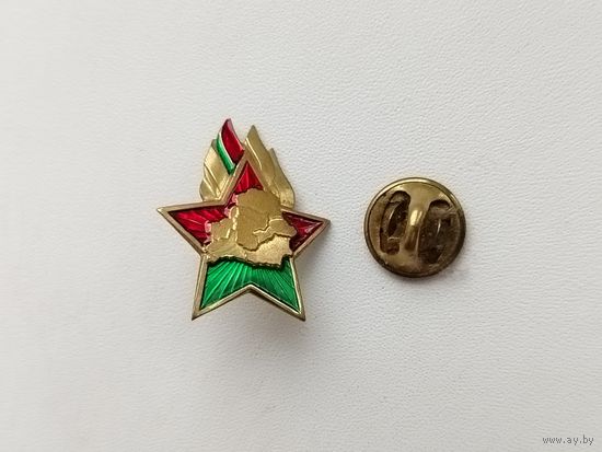 Пионерский значок. 795.