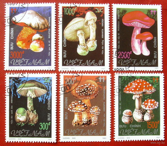 Вьетнам. Грибы. ( 6 марок ) 1991 года. 11-7.