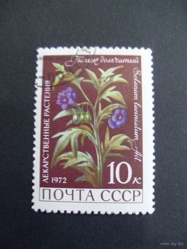 СССР. Паслён дольчатый 1972 лекарственные растения
