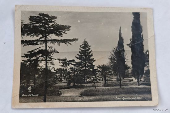 1940 год Сочи  открытка