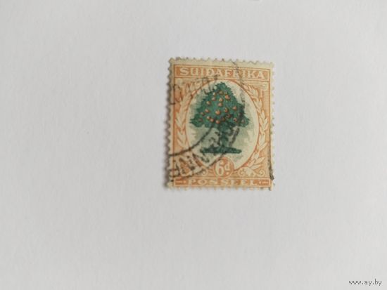 ЮАР  1926 апельс.дерево
