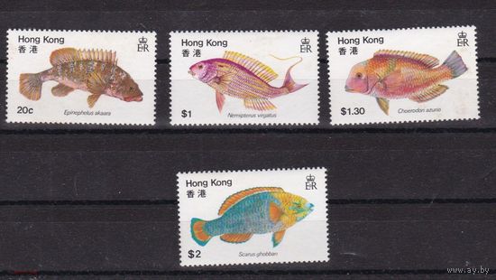 Гонконг Китай  1981  Рыбы морская фауна жизнь животные марки ** MNH