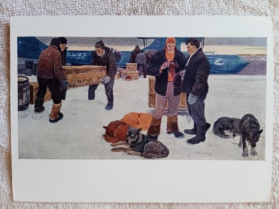 Снегирев. В Арктике