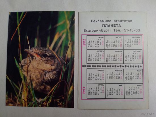 Карманный календарик. Птицы. 1992 год