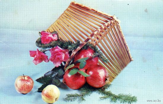 Открытка.Цветы.1969