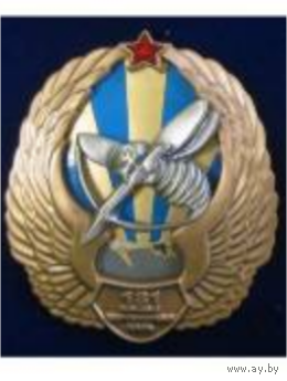 181 Боевая вертолётная группа