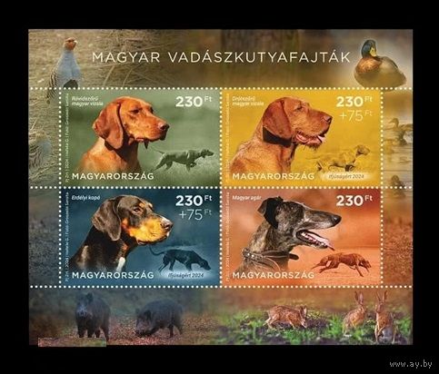 2024 Венгрия 6370-6373 Фауна. Охотничьи собаки **