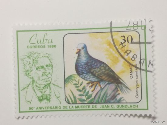 Куба 1986. 90-летие со дня смерти орнитолога Хуана К. Гундлаха.
