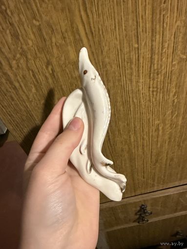 Осетр фарфор