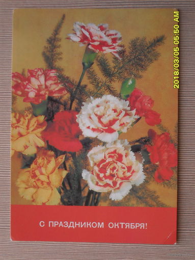 ЧИСТАЯ ПОЧТОВАЯ ОТКРЫТКА.С ПРАЗДНИКОМ ОКТЯБРЯ фото.И.ДЕРГИЛЕВА 1989г.
