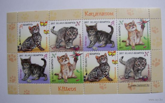 Марки РБ. Котята. 2017