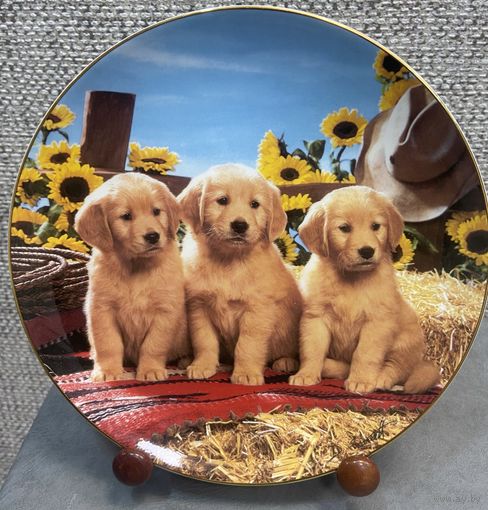 Декоративная тарелка Royal Doulton. На вес золота! Англия. 1995 год. 20 см.