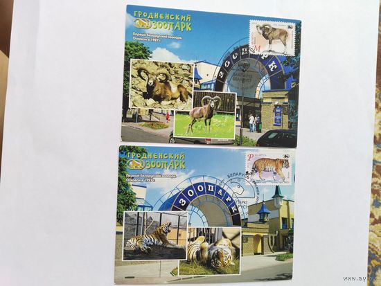 Беларусь  2013 2 карт макс. Гродненский ЗОО