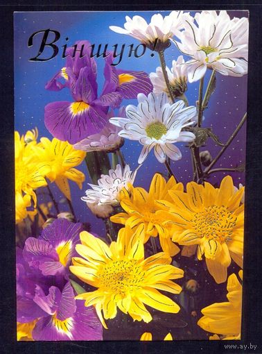 2003 ДМПК Беларусь Поздравляю / брак /