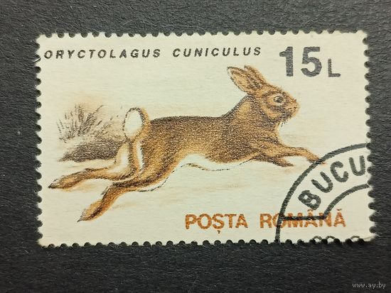 Румыния 1993. Животные. Дикий кролик