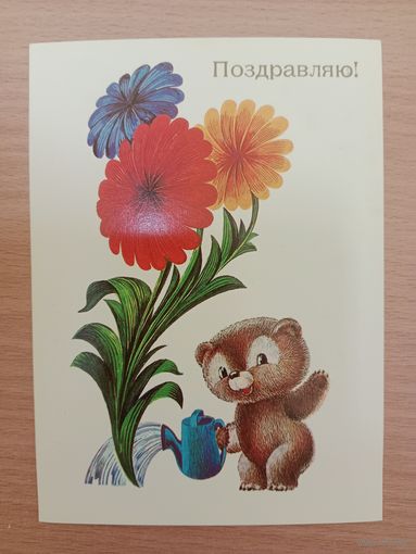 Любезноа,1981,чистая
