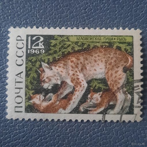 СССР 1969. Фауна Беларуси. Рысь