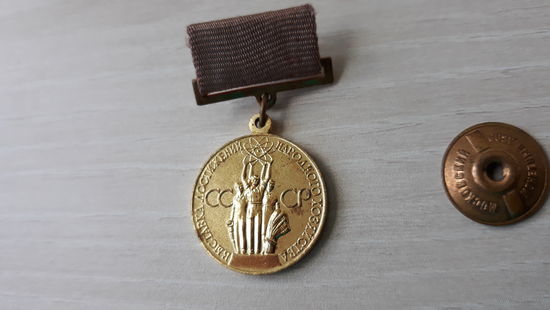 Медаль за успехи в народном хозяйстве - ВДНХ выставка достижений народного хозяйства