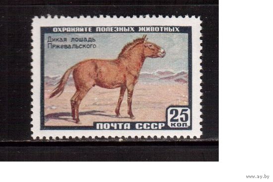 СССР-1959, (Заг.2240)  ** , Фауна , Лошадь Пржевальского