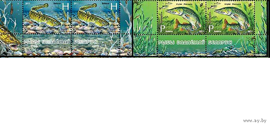 Беларусь 2011, Фауна Рыбы водоемов Беларуси, **