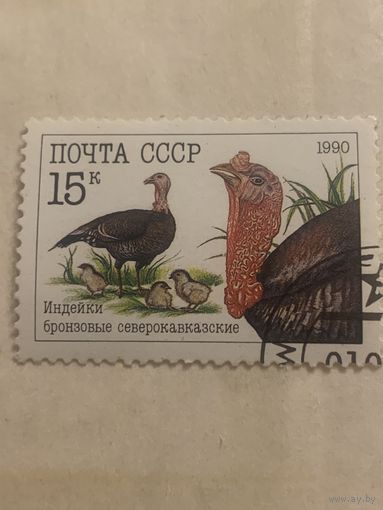 СССР 1990. Индейки бронзовые северокавказские