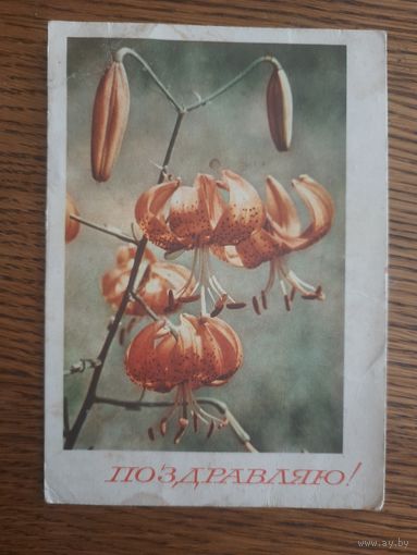 СССР. Поздравляю. 1967г. подписана