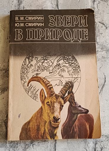 Звери в природе/Смирин В. М., Смирин Ю. М. 1991