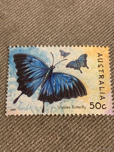 Австралия 2003. Бабочки. Ulysses Butrerfly