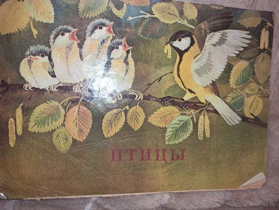 ПТИЦЫ: Книжка-раскраска (СССР) Художник К.В.Овчинников. Редактор Р.Н.Корженевская. Худ. редактор В.Г.Бахтин