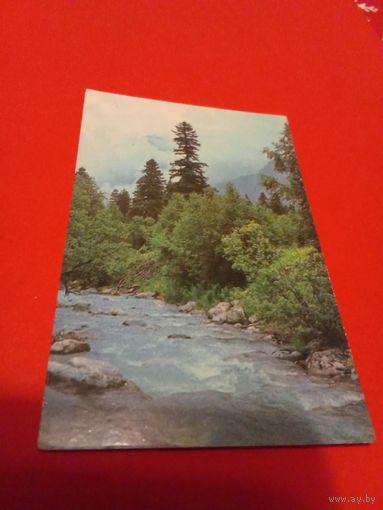 Календарик 1981г.