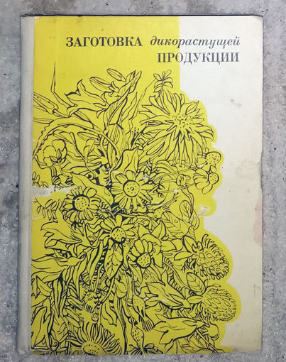 Заготовка дикорастущей продукции