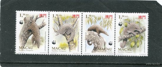 Масао. Фауна. Китайский ящер. Сцепка