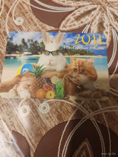 Календарик,коты,украина,2011