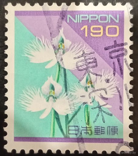 Япония. Флора. Цветы