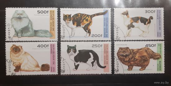 Республика Гвинея. 1996 год. Фауна. Кошки (759)