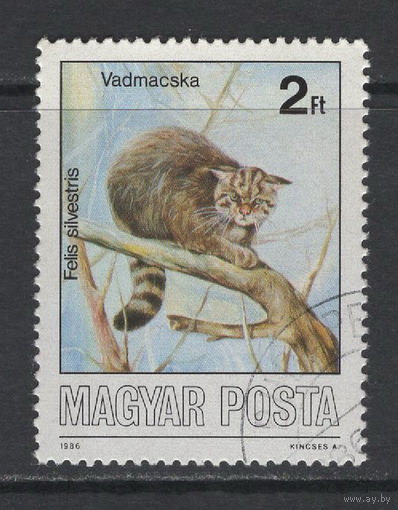 Фауна Кошки Венгрия 1986 Used