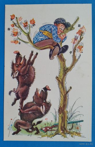 Орлов А. Шварц А. "Жаль врач запретил ..." Юмор. 1968 г. Умен.формат. Чистая.