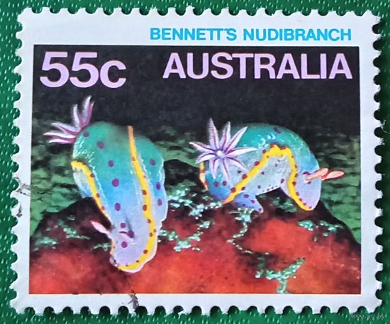 Австралия 1985. Голожаберник Беннетта
