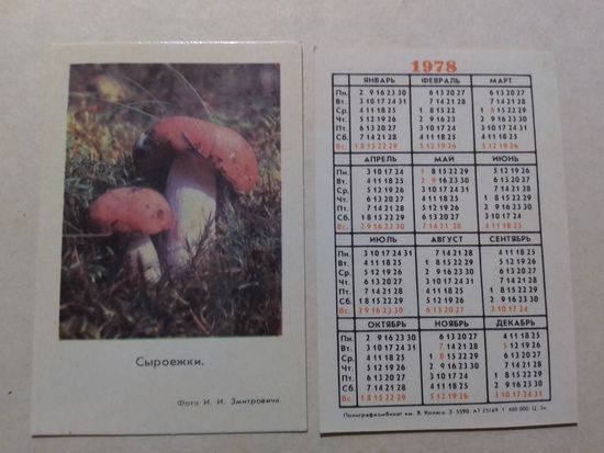 Карманный календарик. Сыроежки. тираж 400 000. 1978 год