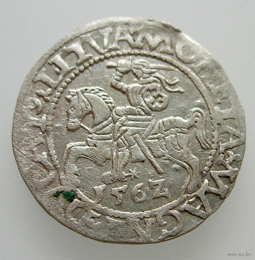 Полугрош 1562, Жигимонт Август, Вильно. Ав: окончание легенды - LI, Рв: хвост Погони вниз, окончание легенды - LITVA