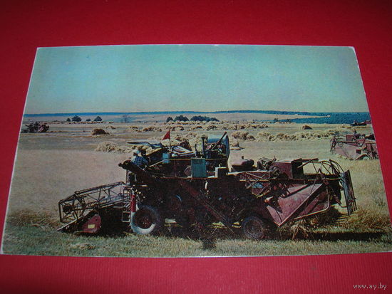 Татарстан Хлебная страда Комбайн 1973 год чистая
