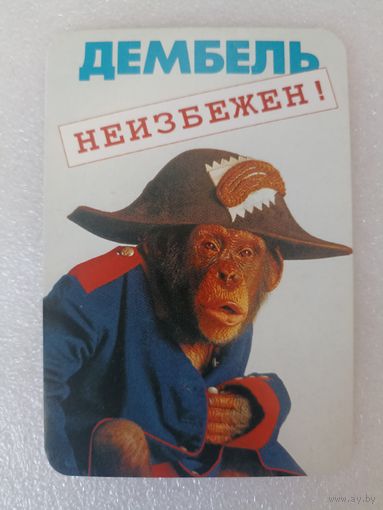 Дембель, Животные, Обезьяны, 2001 год. Карманные календарики, Календарик, Календарь