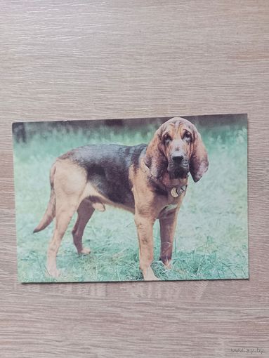 Календарик 1993