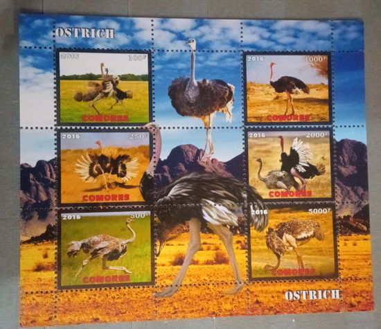 СЕРИЯ Блоков птицы  фауна MNH