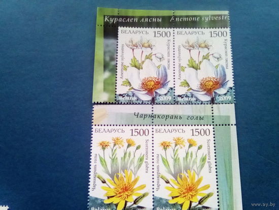 Беларусь 2009 2 серии цветы