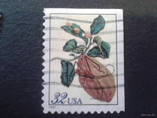 США 1997 стандарт, цитрус