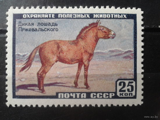 1959  Дикая лошадь Пржевальского**